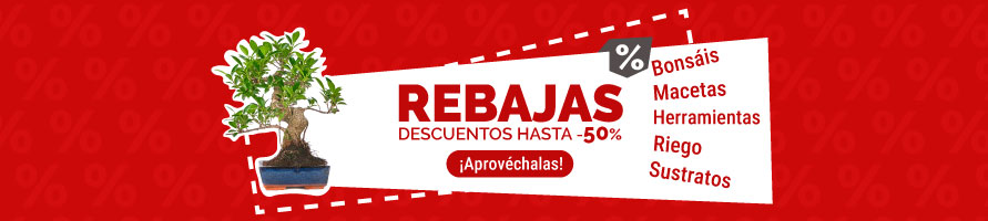 Rebajas