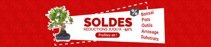 Soldes