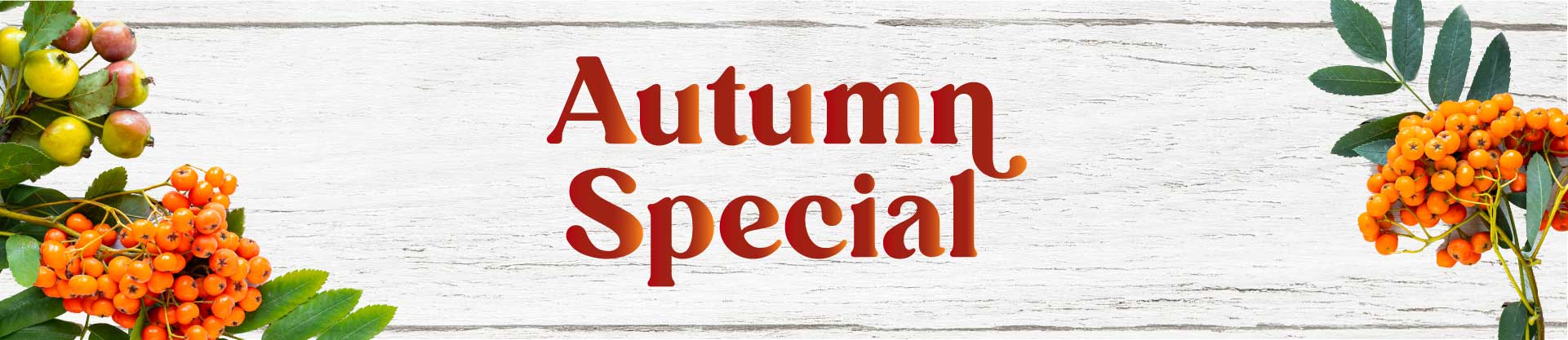 Autumn Special