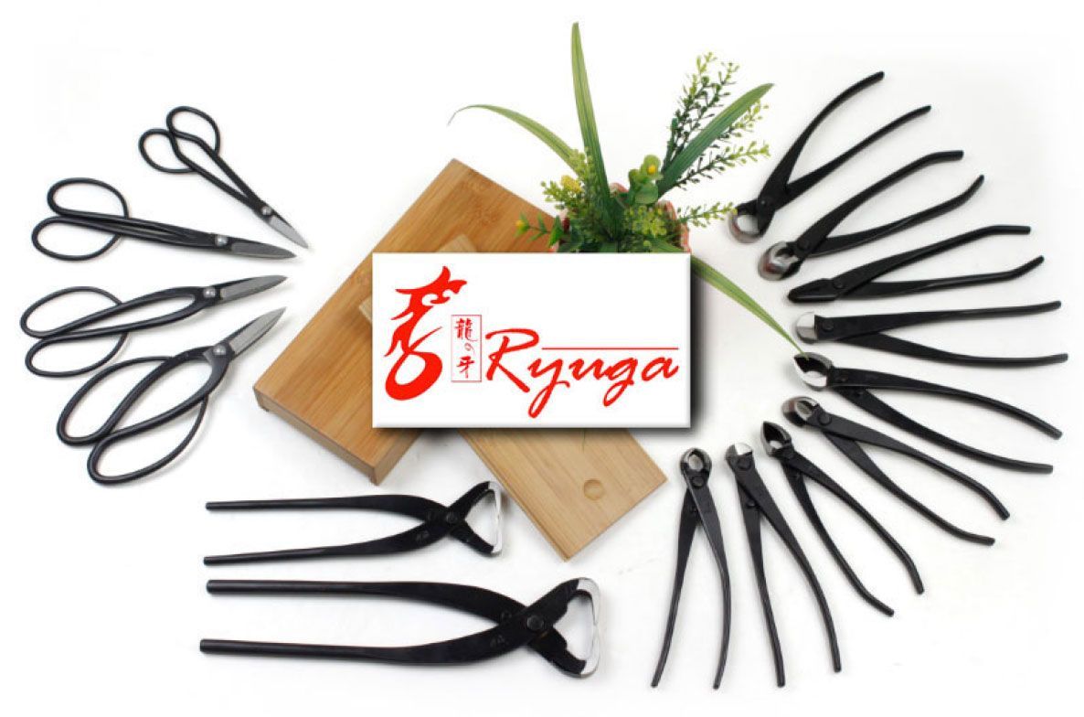 Lot de 3 outils Ryuga - Kit de trois outils pour la taille des bonsai