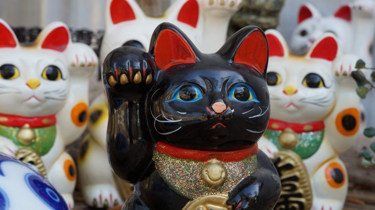 Gato Chino de la suerte, historia y significados  Gato chino de la suerte,  Gato de la fortuna, Gato de la suerte