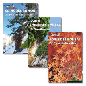 Soins des bonsaï | France Bonsaï