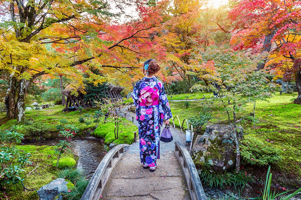 Momijigari, die Blätterjagd in Japan entdecken