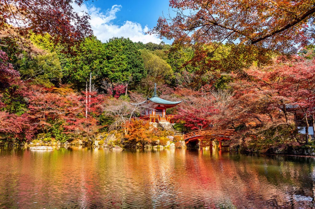 Japan garden